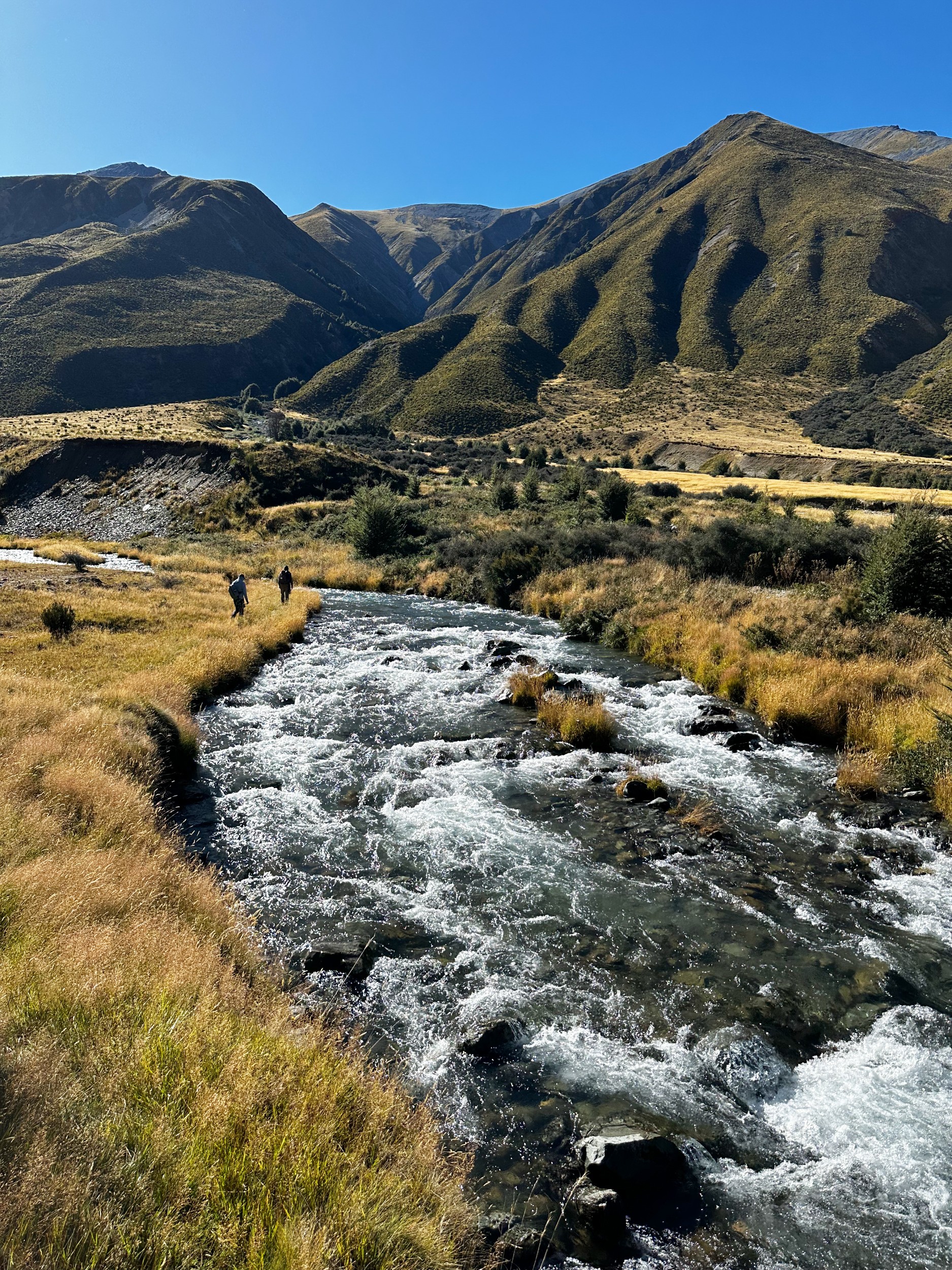 Hikers walking alongside a coursing river in a valley.