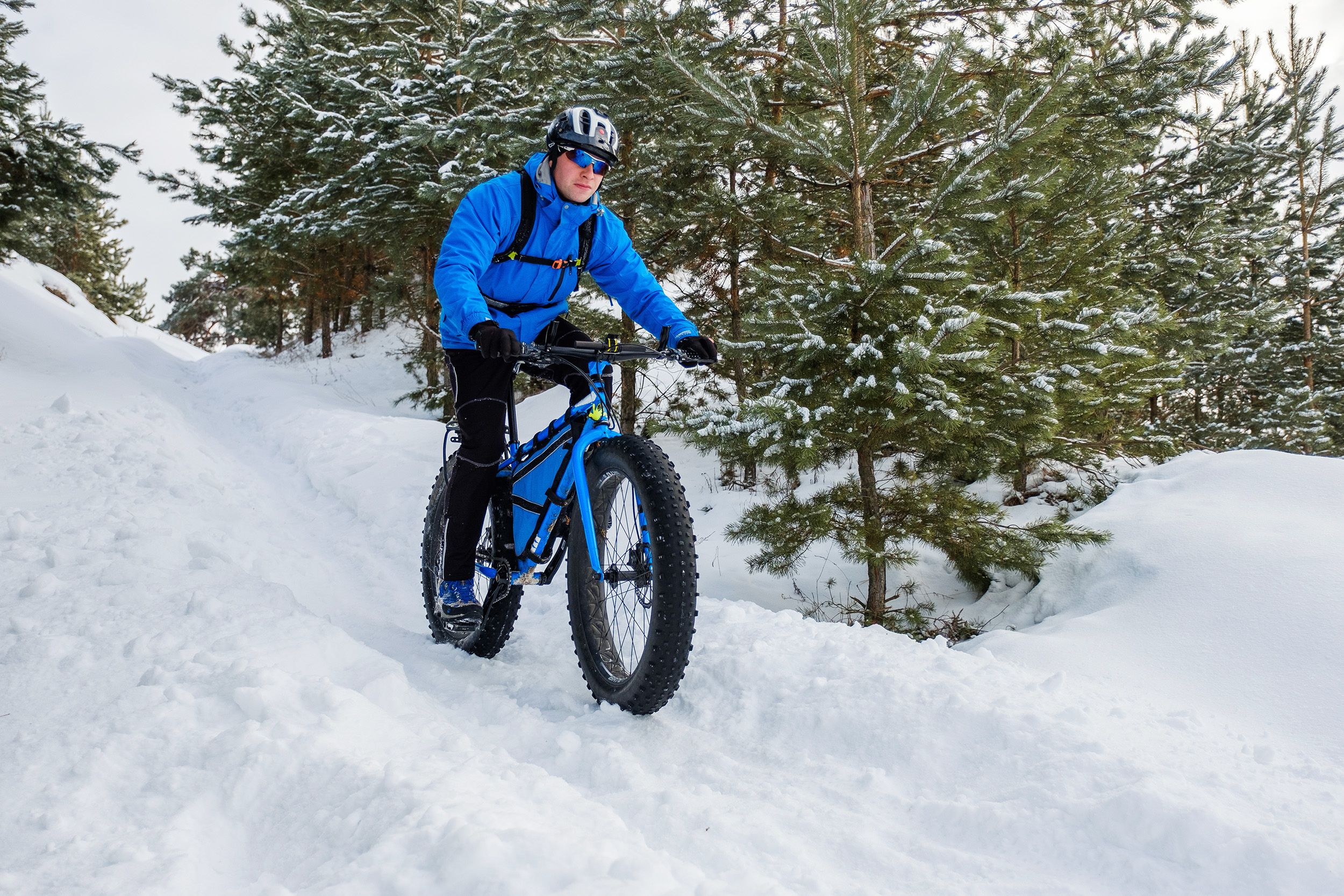Man fat biking through forest.