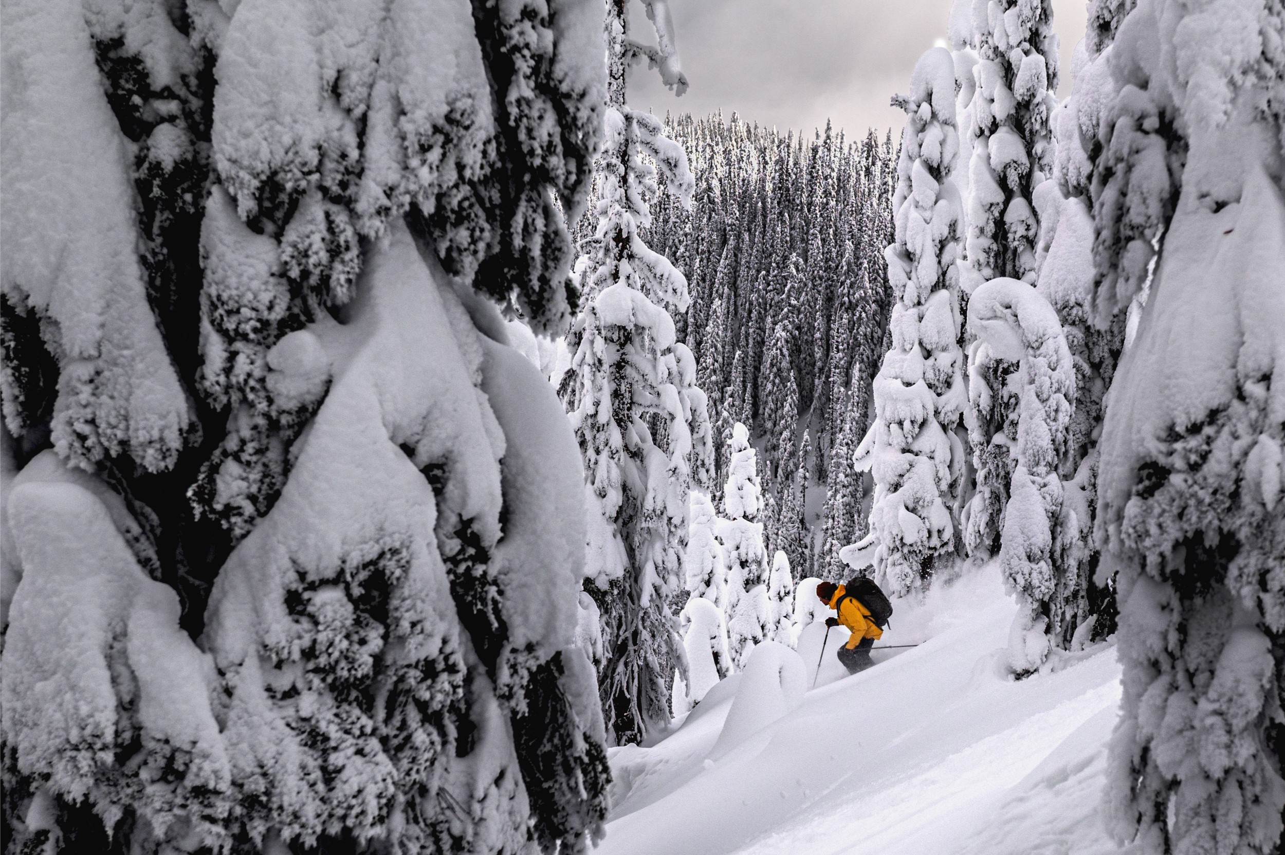 A person barreling through a snowy forest off-piste