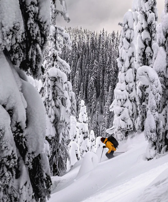 A person barreling through a snowy forest off-piste