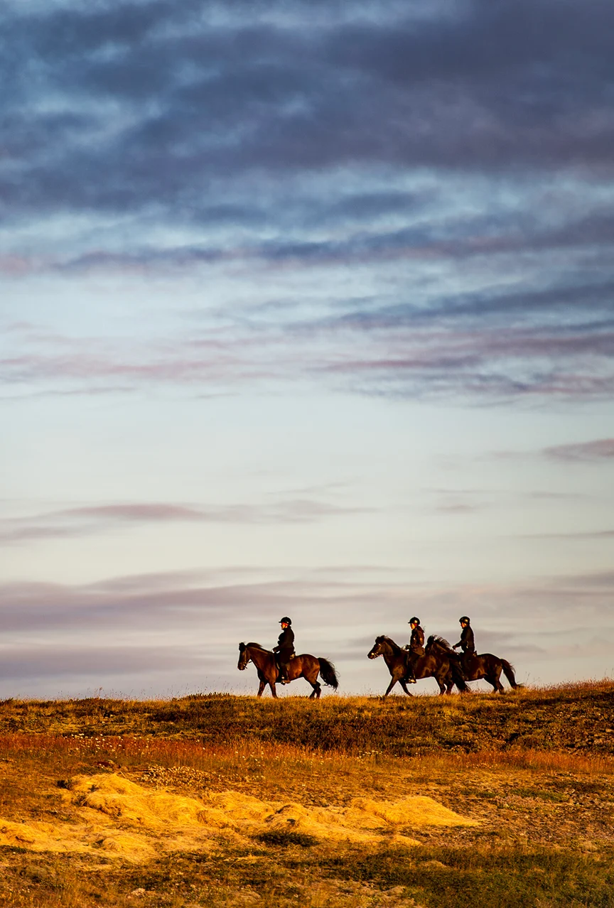 People riding horses in Iceland.