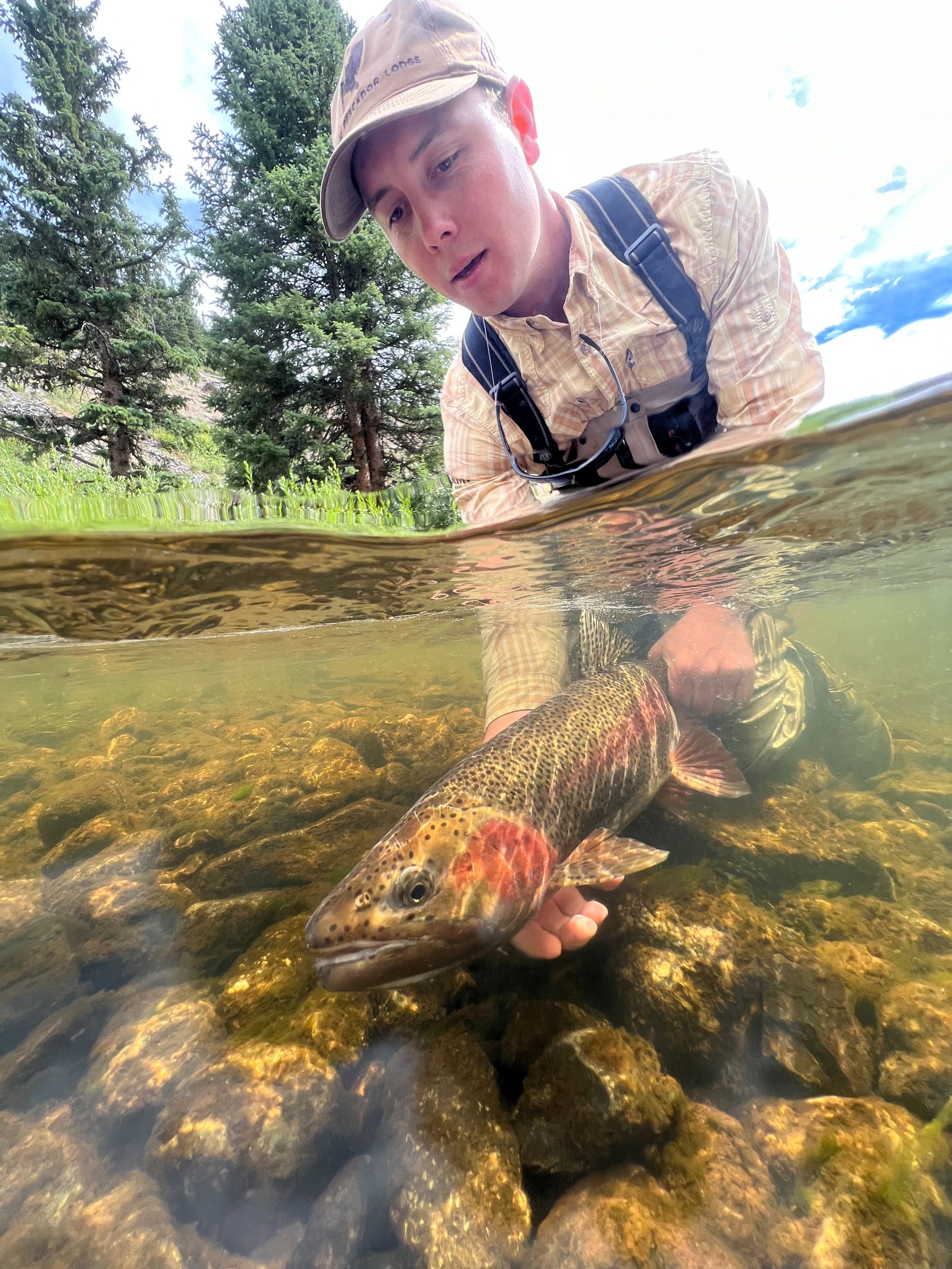 A Fish for the Books