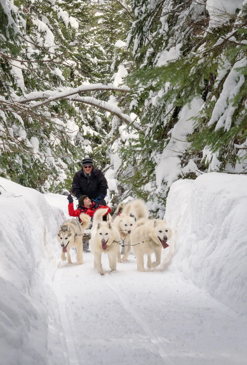 Dog sledding in British Columbia.