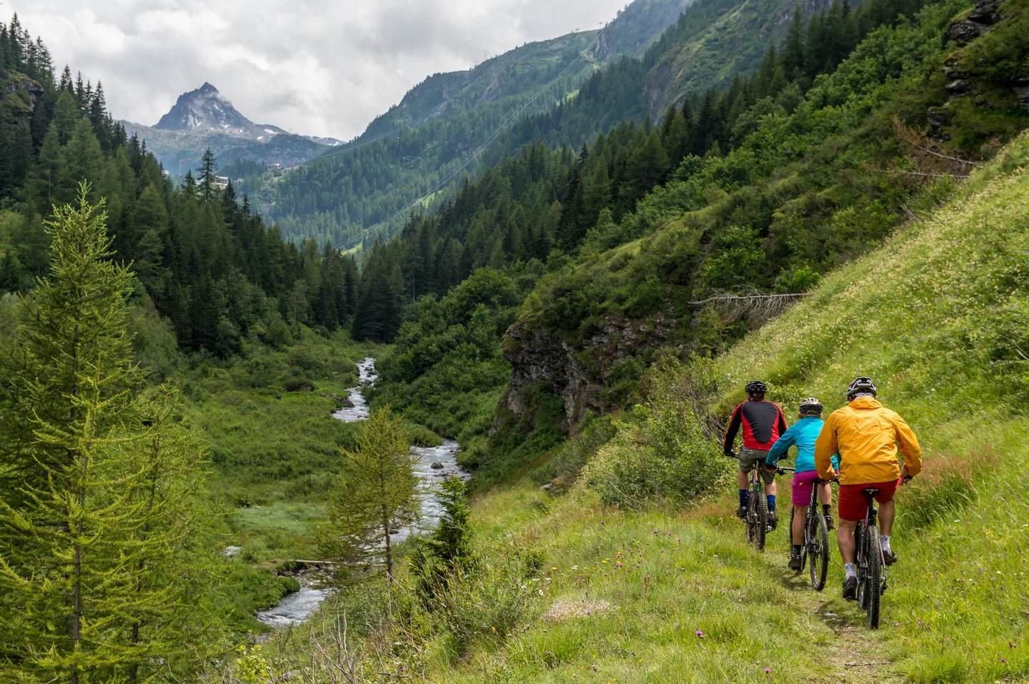 A group of bikers in a steep valley riding along a creek.
