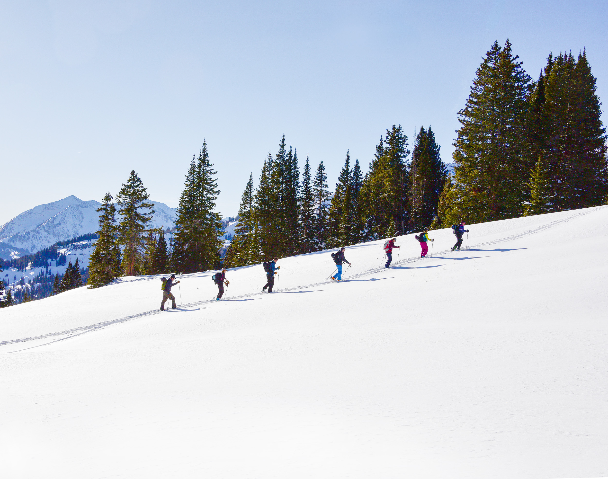 Colorado Ski Touring