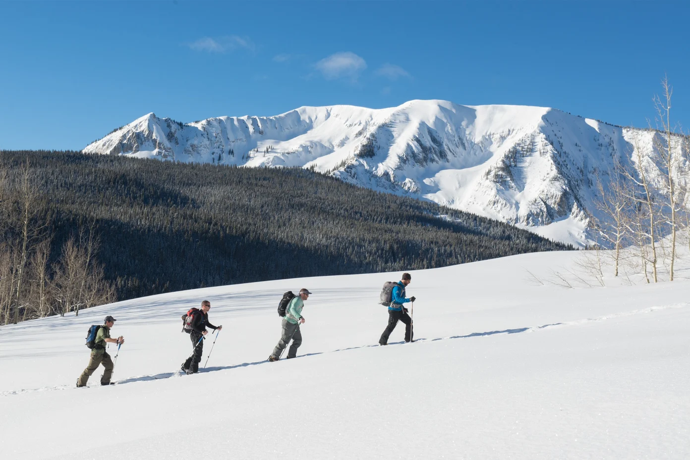 A group of people on a ski tour on a sunny bright day.