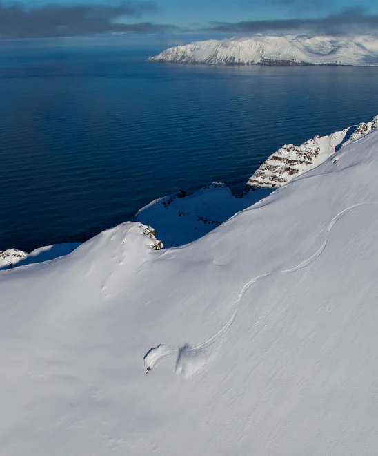 A skier carving down a mountain in powdery snow at ocean's edge.