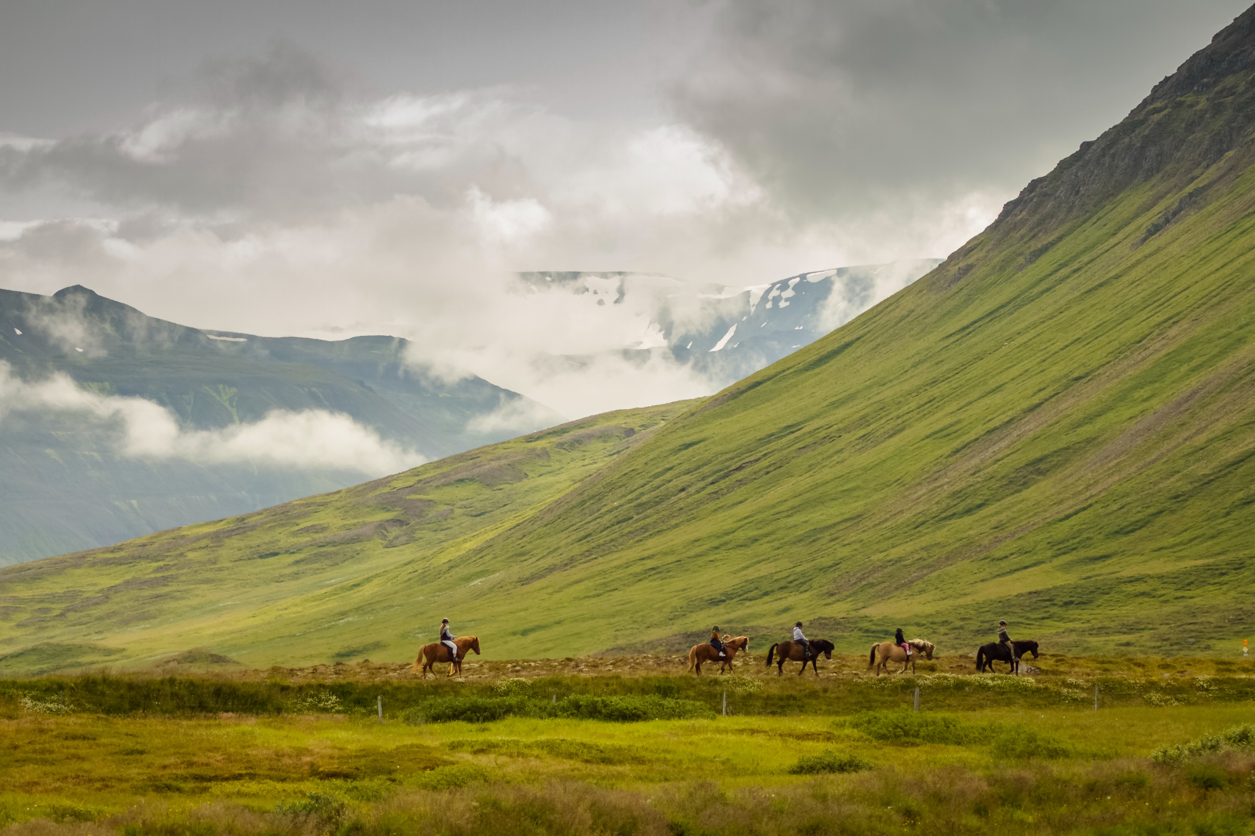 Horseback Riding in Iceland.
