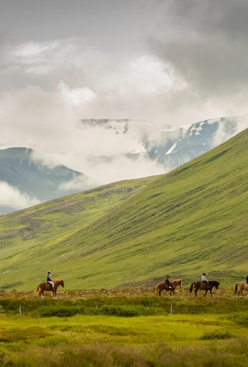Horseback Riding in Iceland.