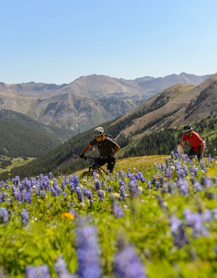Two people mountain biking through grassy field filled with wild flowers.