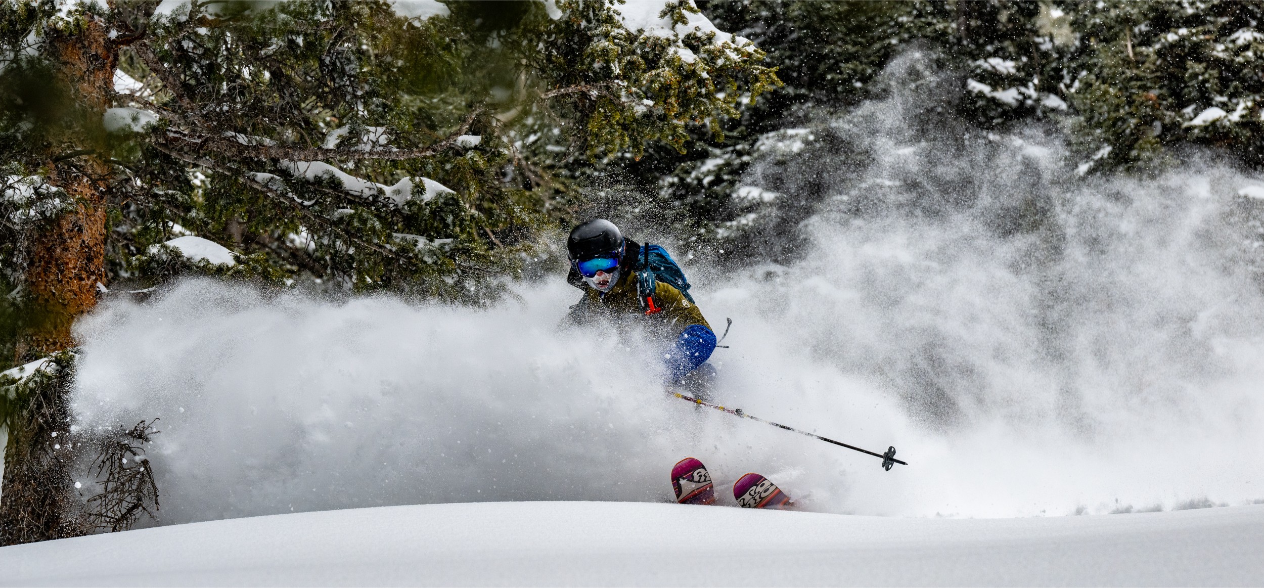 A skier cutting through a forest in Colorado.