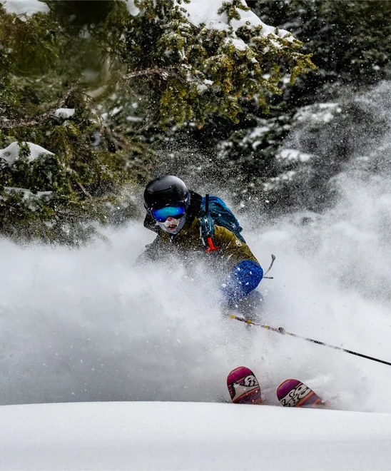A skier cutting through a forest in Colorado.