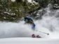 A skier cutting through a forest in Colorado.