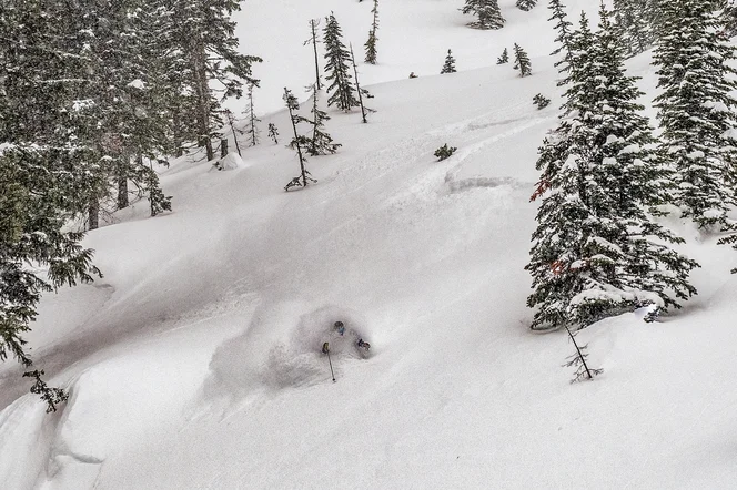 BC Powder Skiing