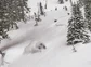 BC Powder Skiing