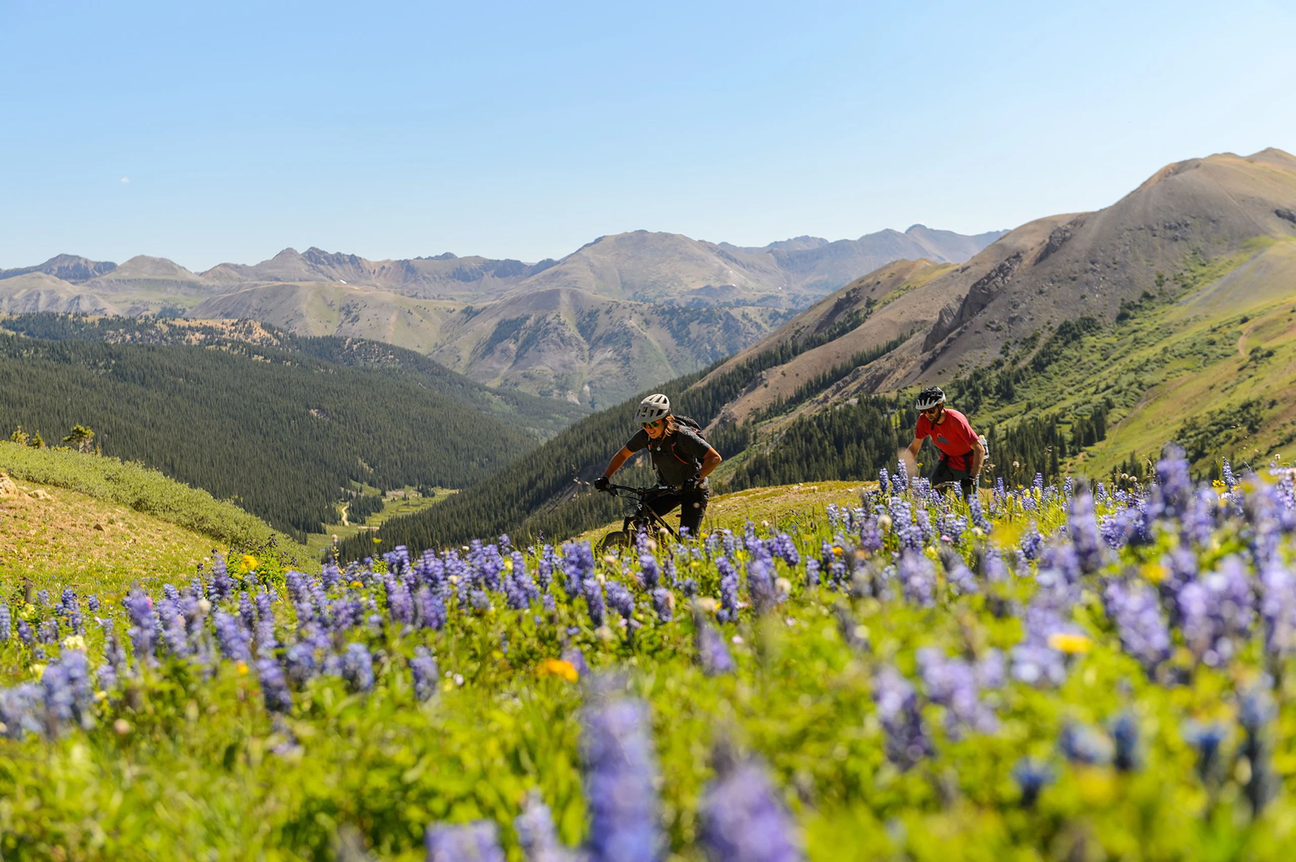 Two people Mountain Biking In Colorado