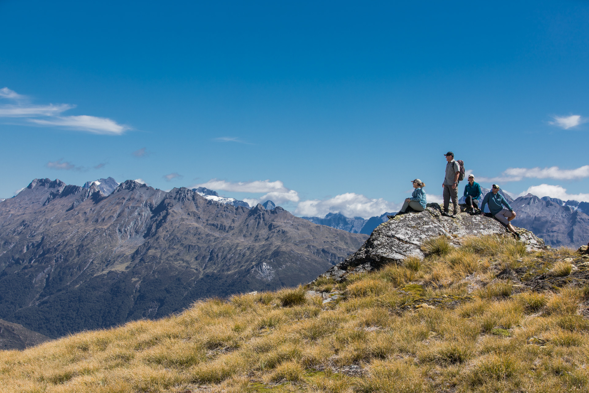 Dining and Adventures at Cedar 