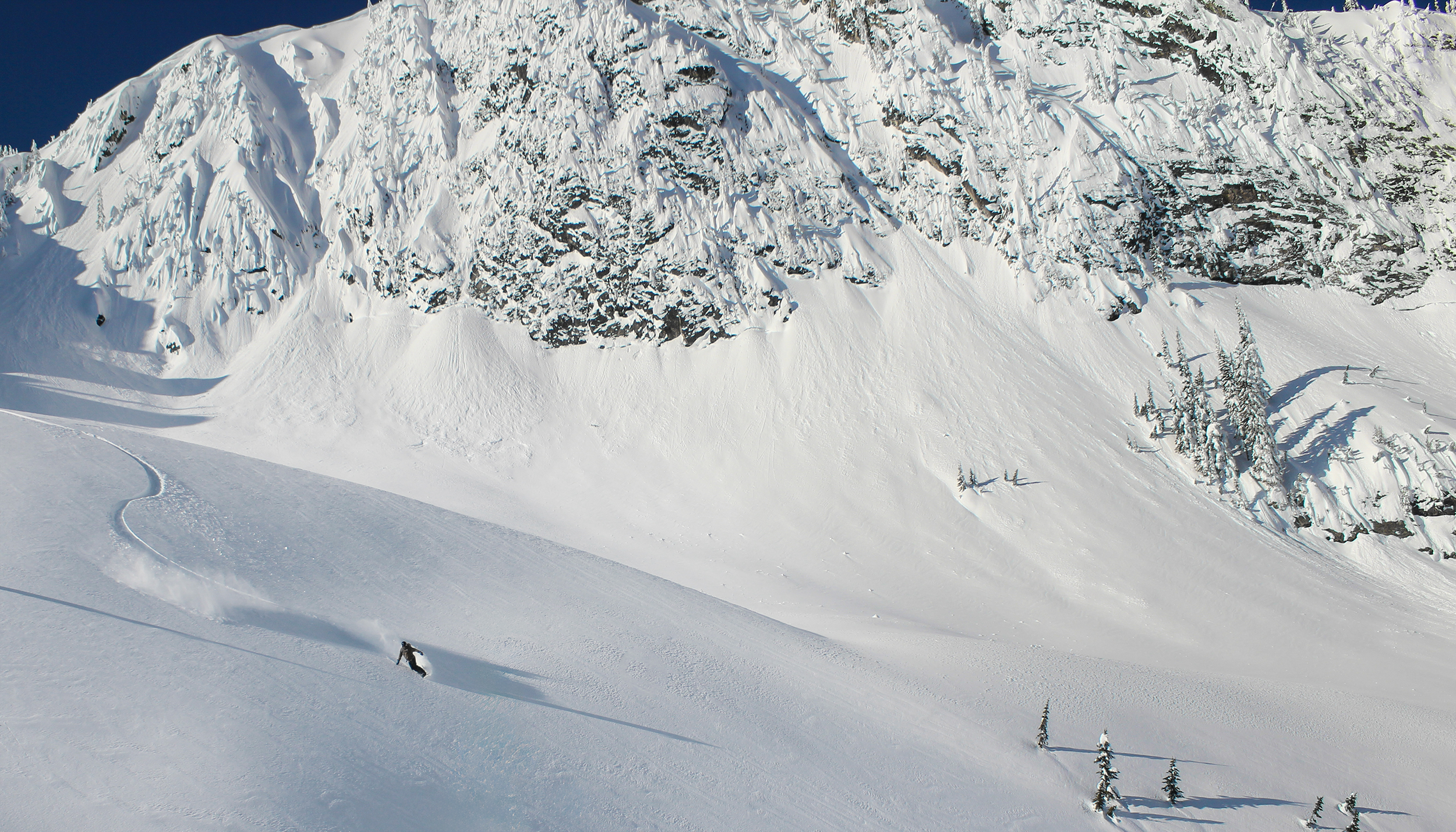 Snowboard wide open glade in Canada