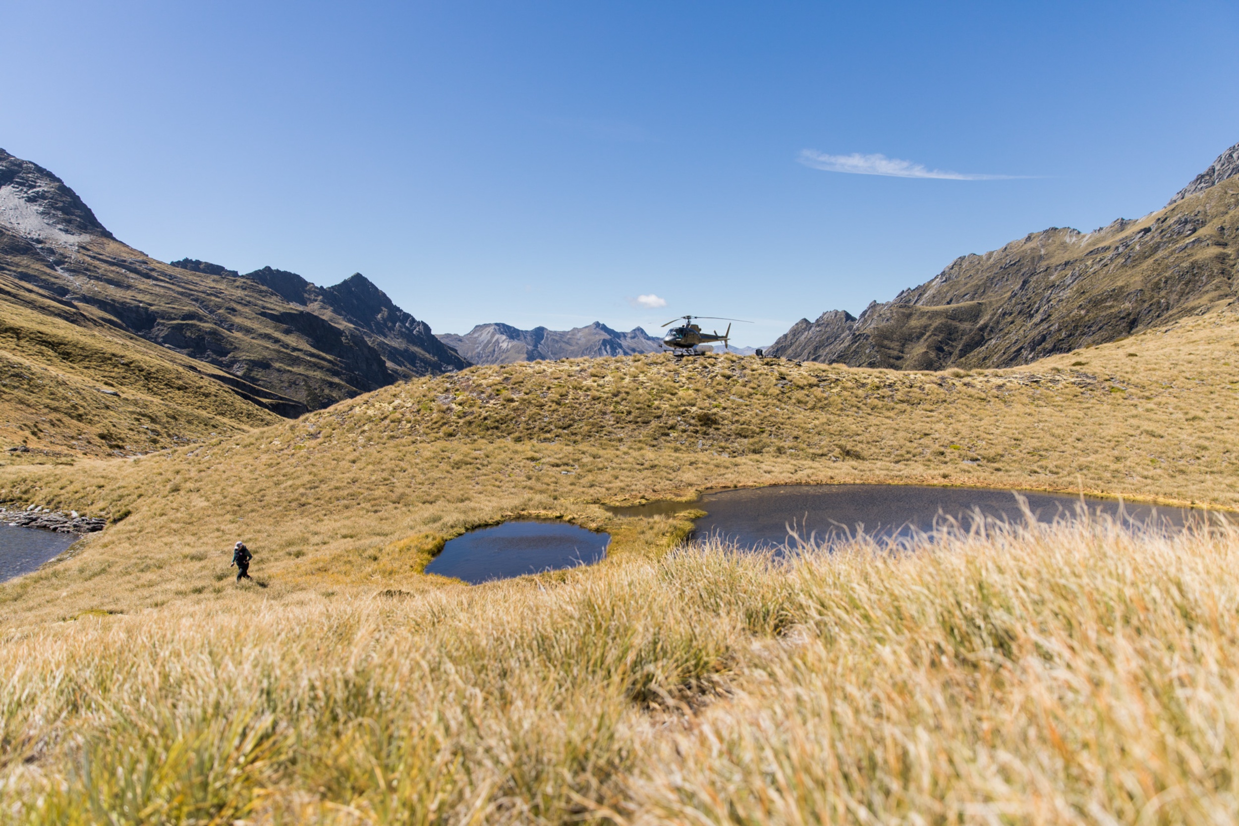 A helicopter lands after a scenic tour in New Zealand.
