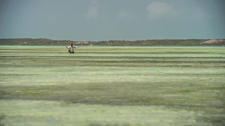 Fish the eastern side of North Eleuthera