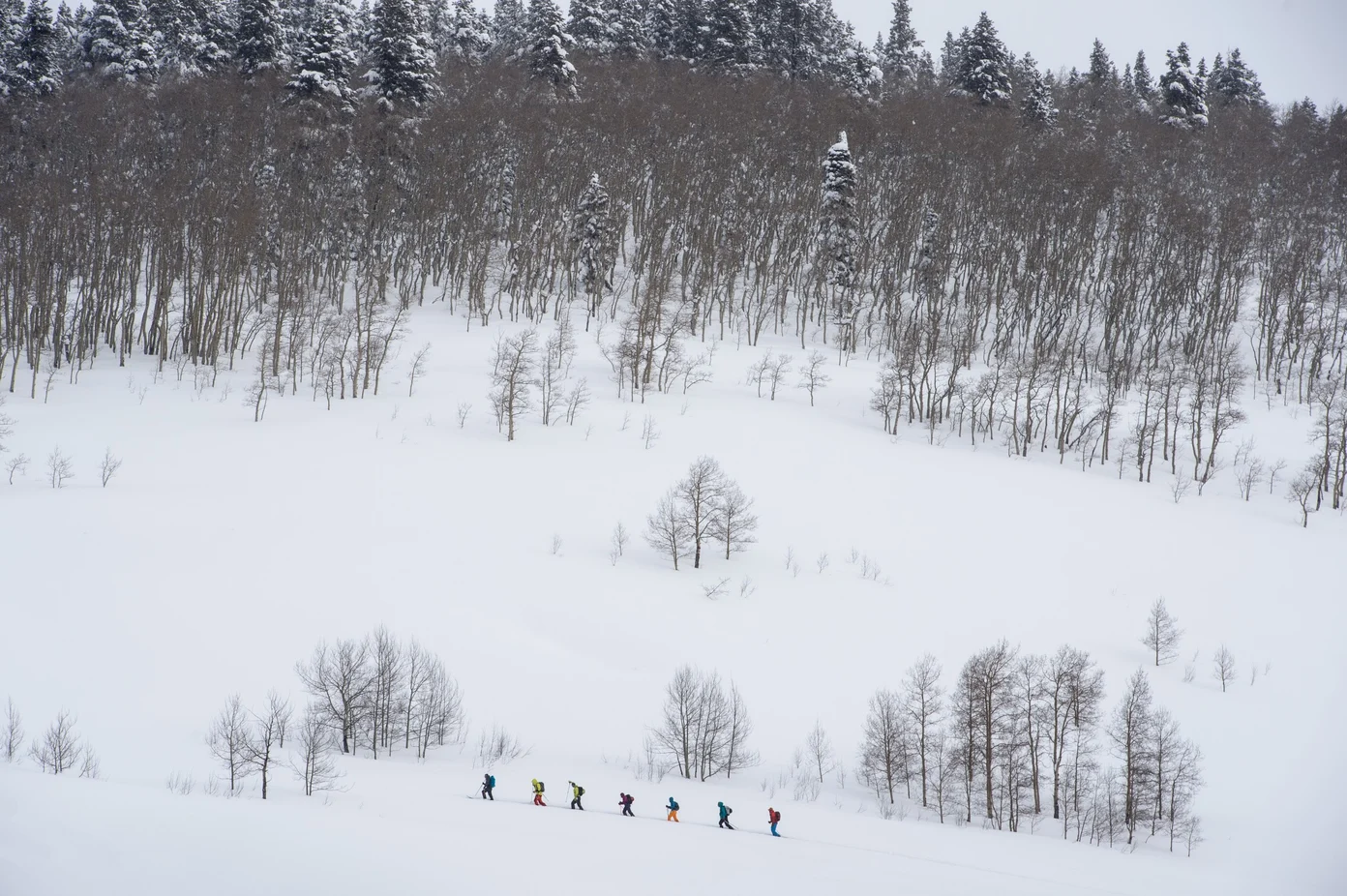 An aerial view of a group of skiers on a tour across the Rocky Mountains.