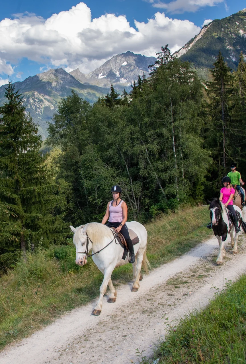 Horseback riding through the French Alps in summer.