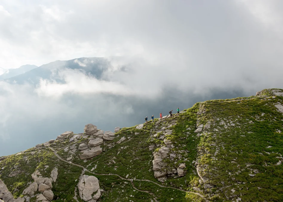 Extensive Adventure Options Guided by Experts