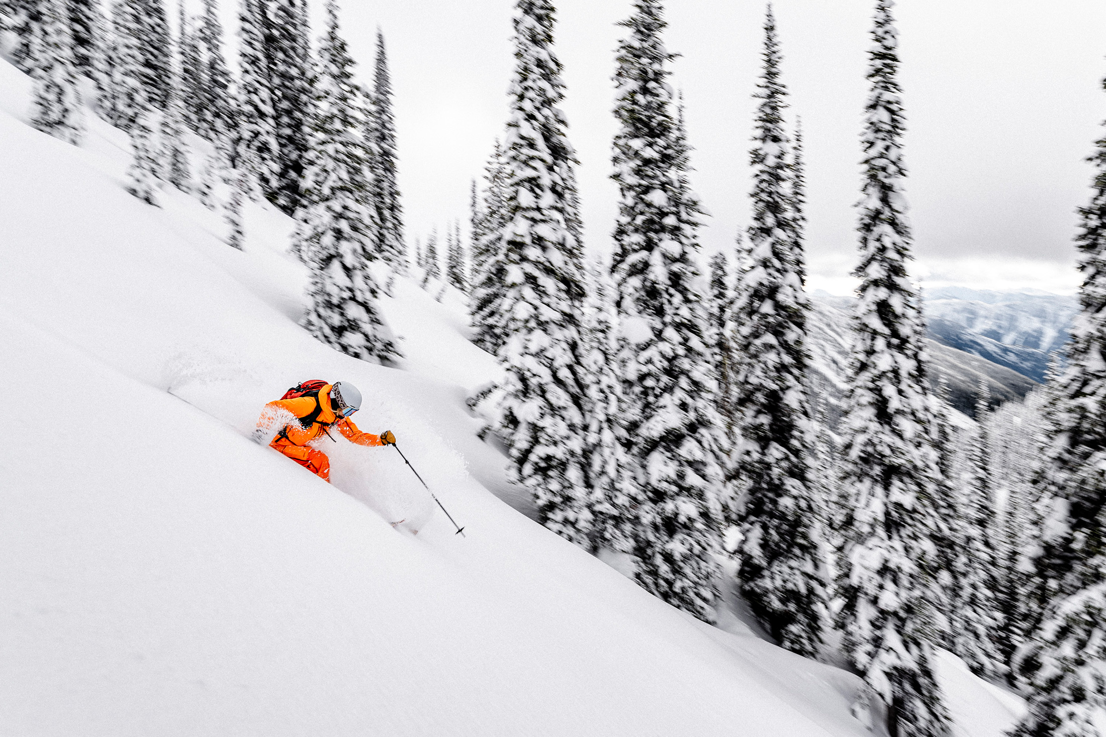 Skier in powder in BC