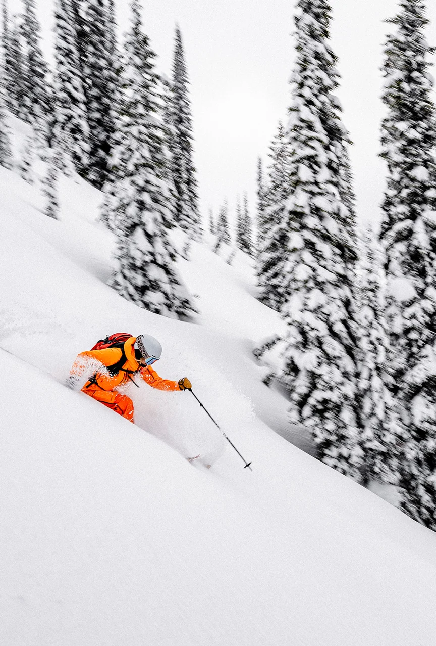 Skier in powder in BC