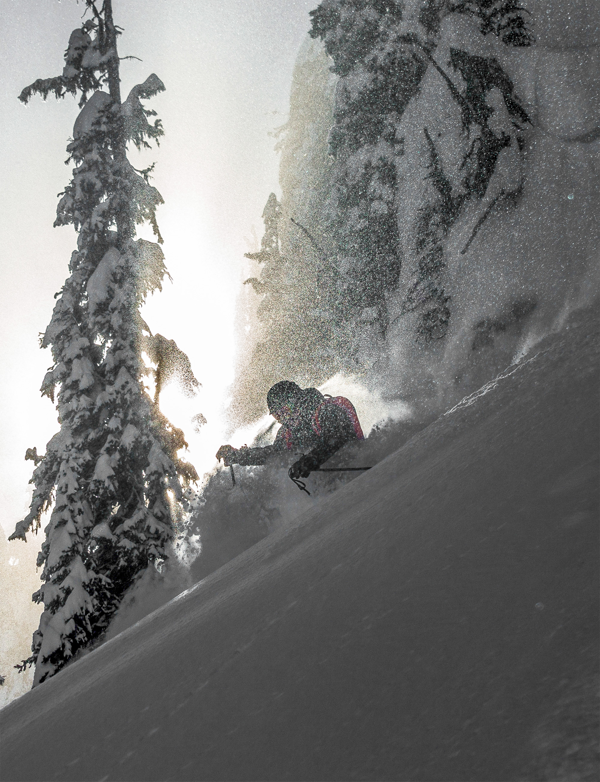 Skiing powder in Revelstoke trees.