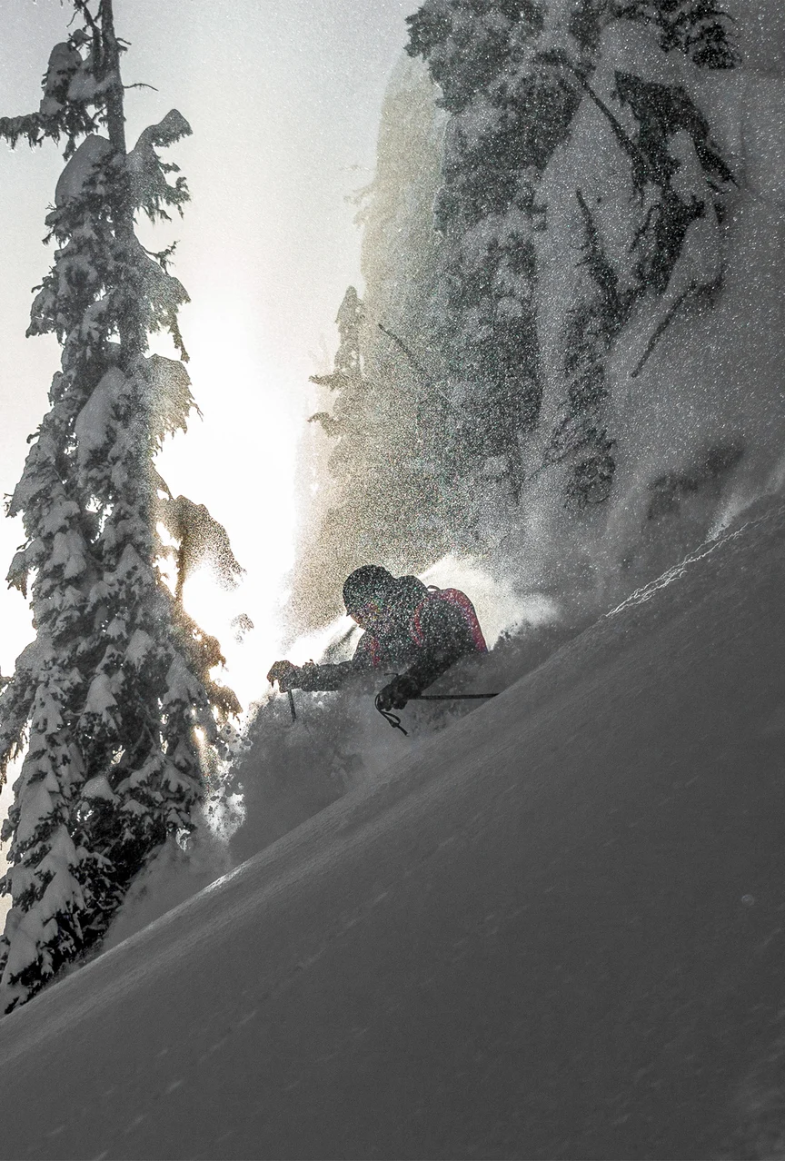 Skiing powder in Revelstoke trees.
