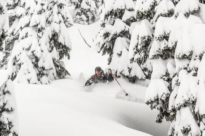 BC Powder Skiing in Trees