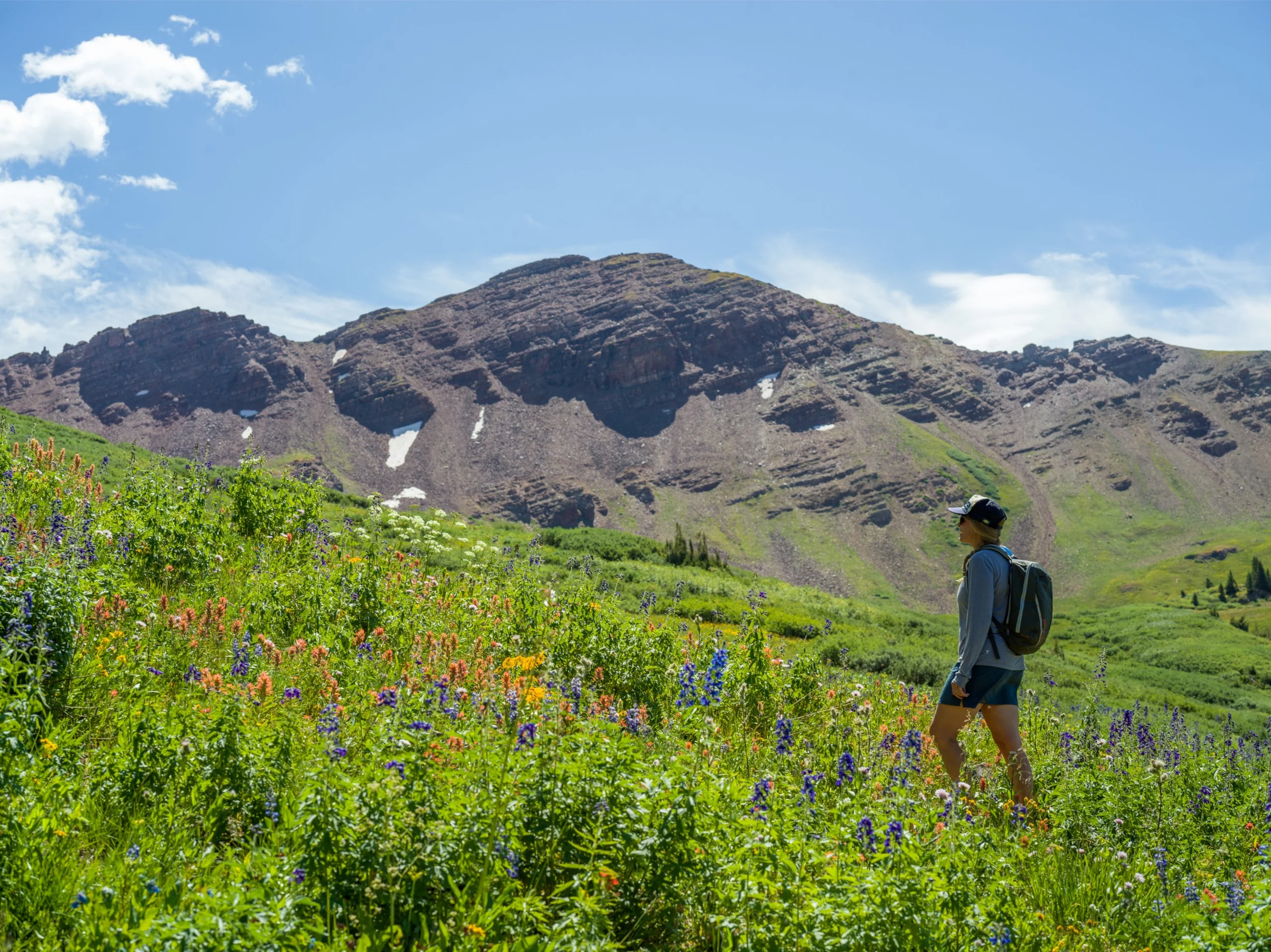 A hiker walking through a flowery field in Colorado.