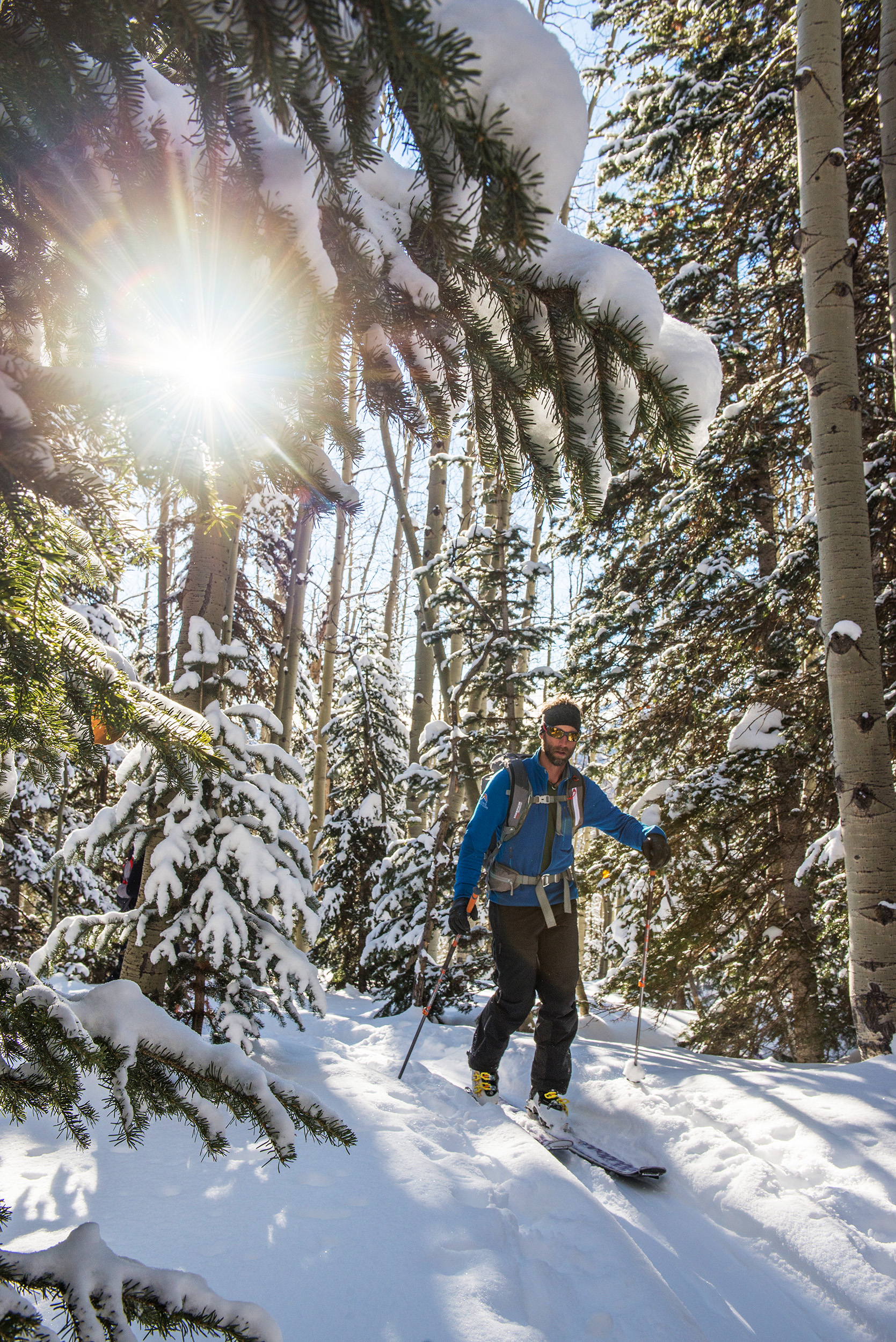 Man ski touring through trees.