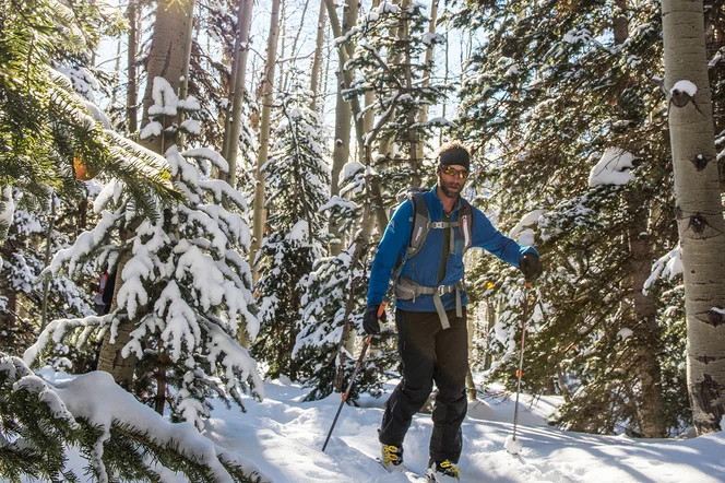 Man ski touring through trees.