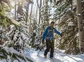 Man ski touring through trees.