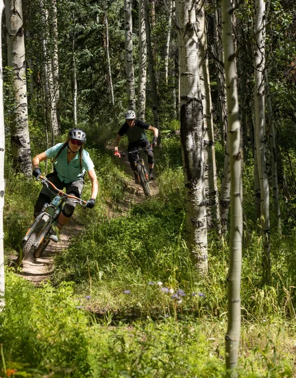 Two people mountain biking on a trail in a forest.