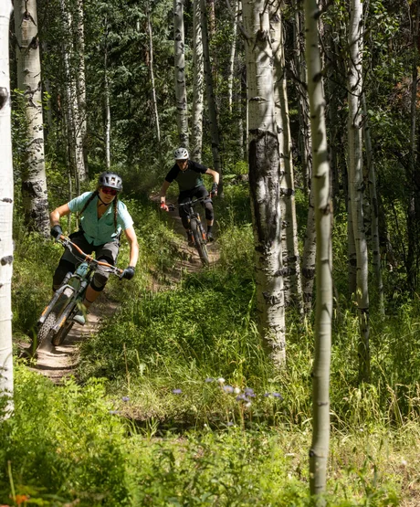 Two people mountain biking on a trail in a forest.