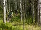 Two people mountain biking on a trail in a forest.