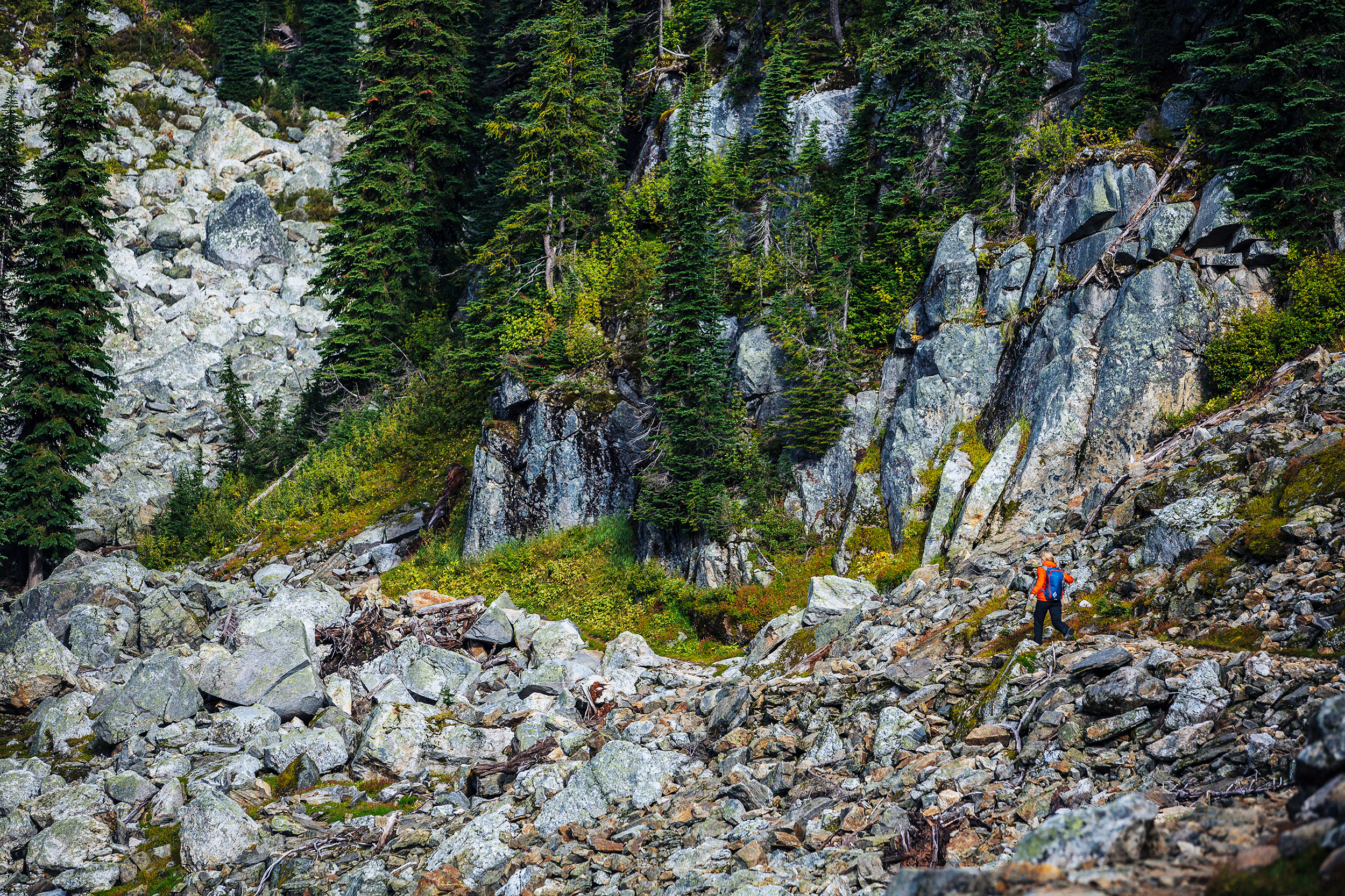 Hiking in Revelstoke, BC.