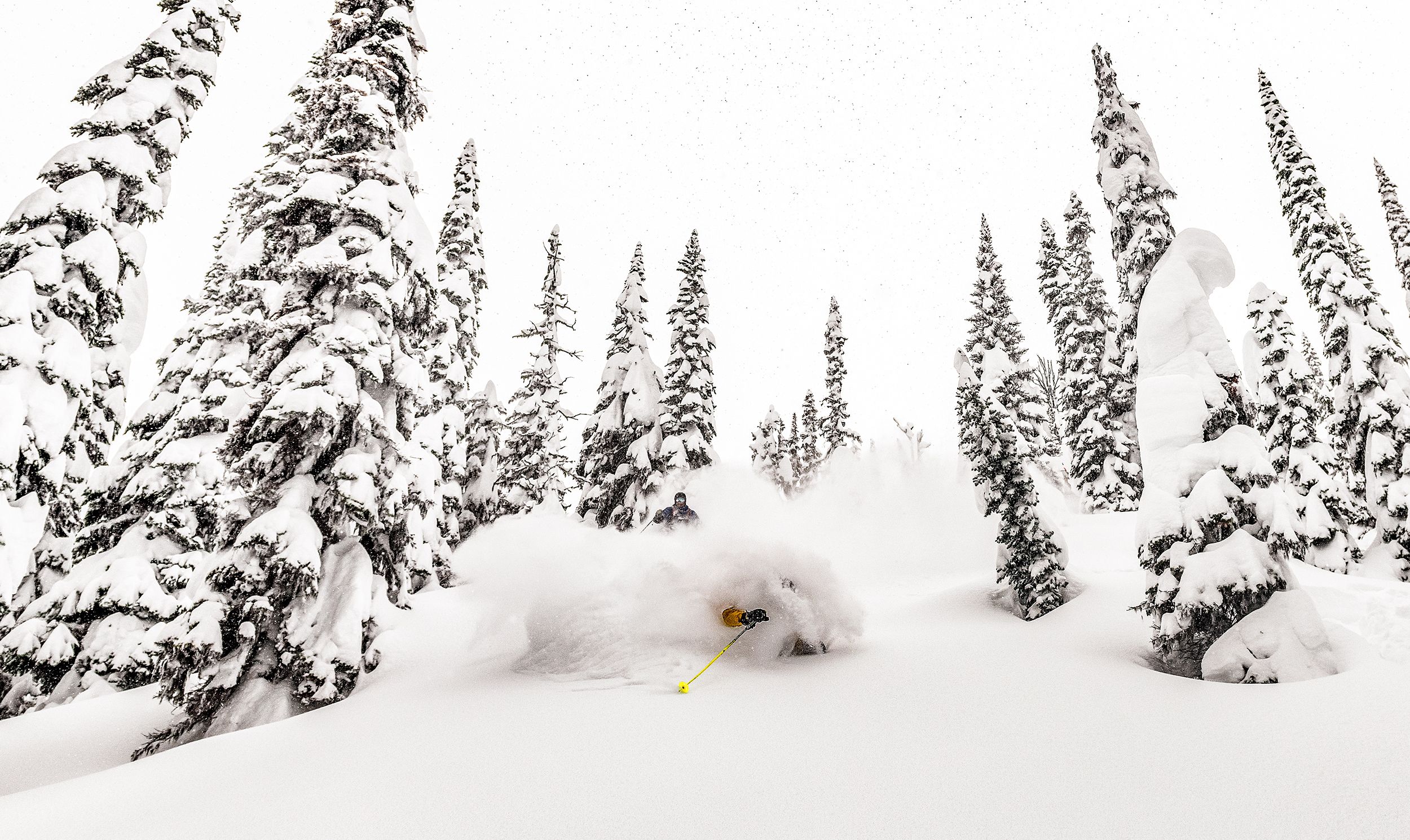 deep Powder in Canadian trees