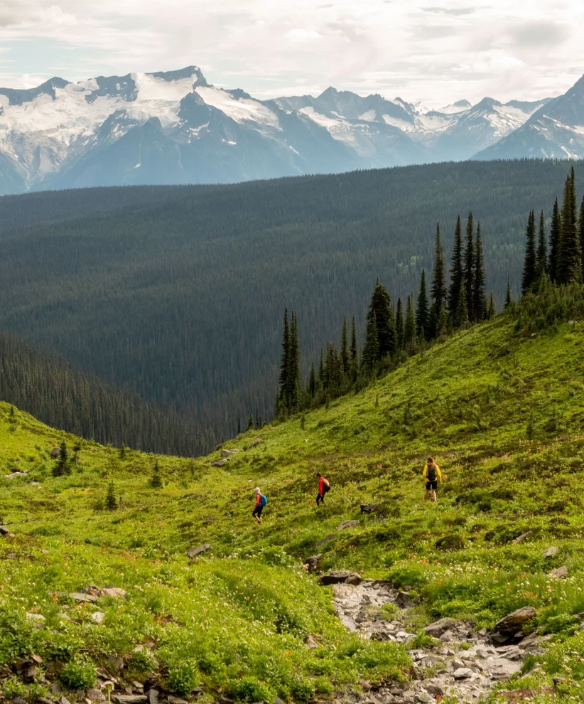A group hiking through a grassy valley wedged between snow capped mountains.