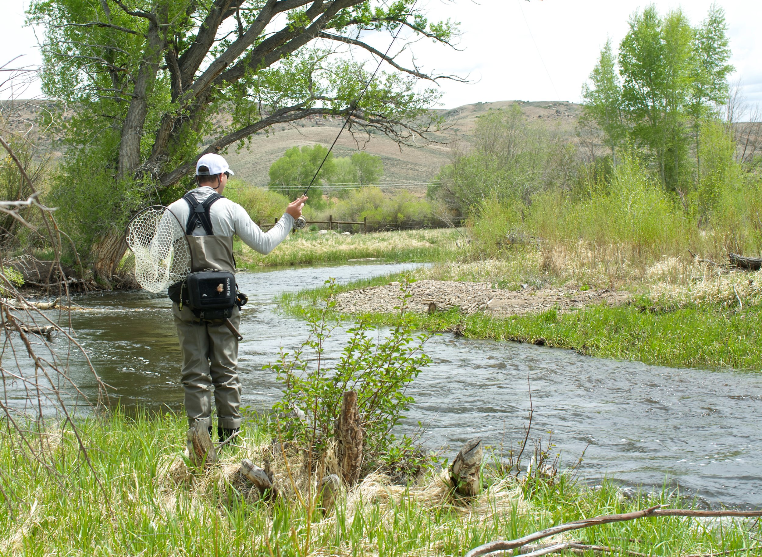 An angler on the Tomichi Creek.