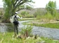 An angler on the Tomichi Creek.