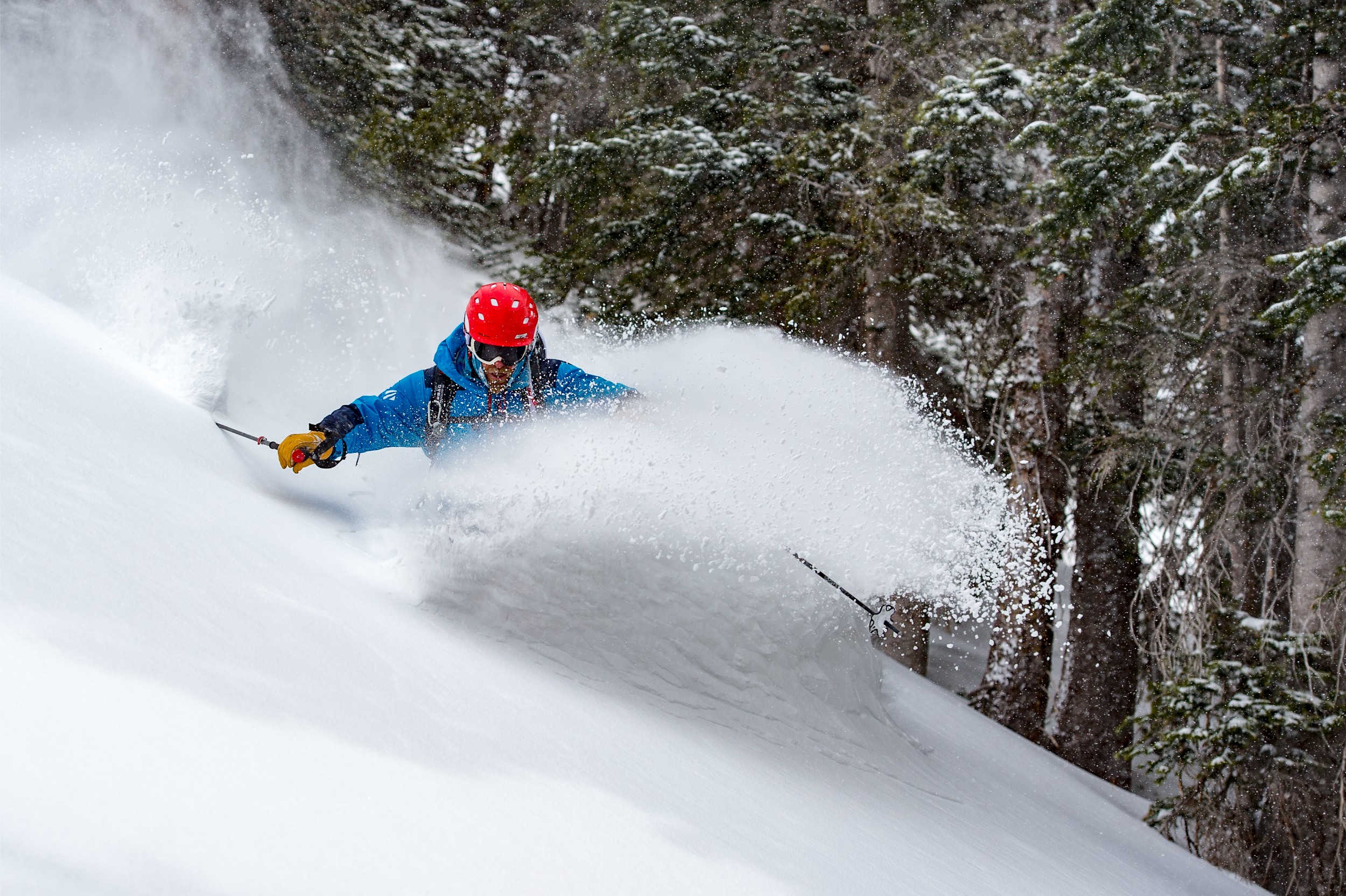A skier carving hard and creating a cloud of snow.