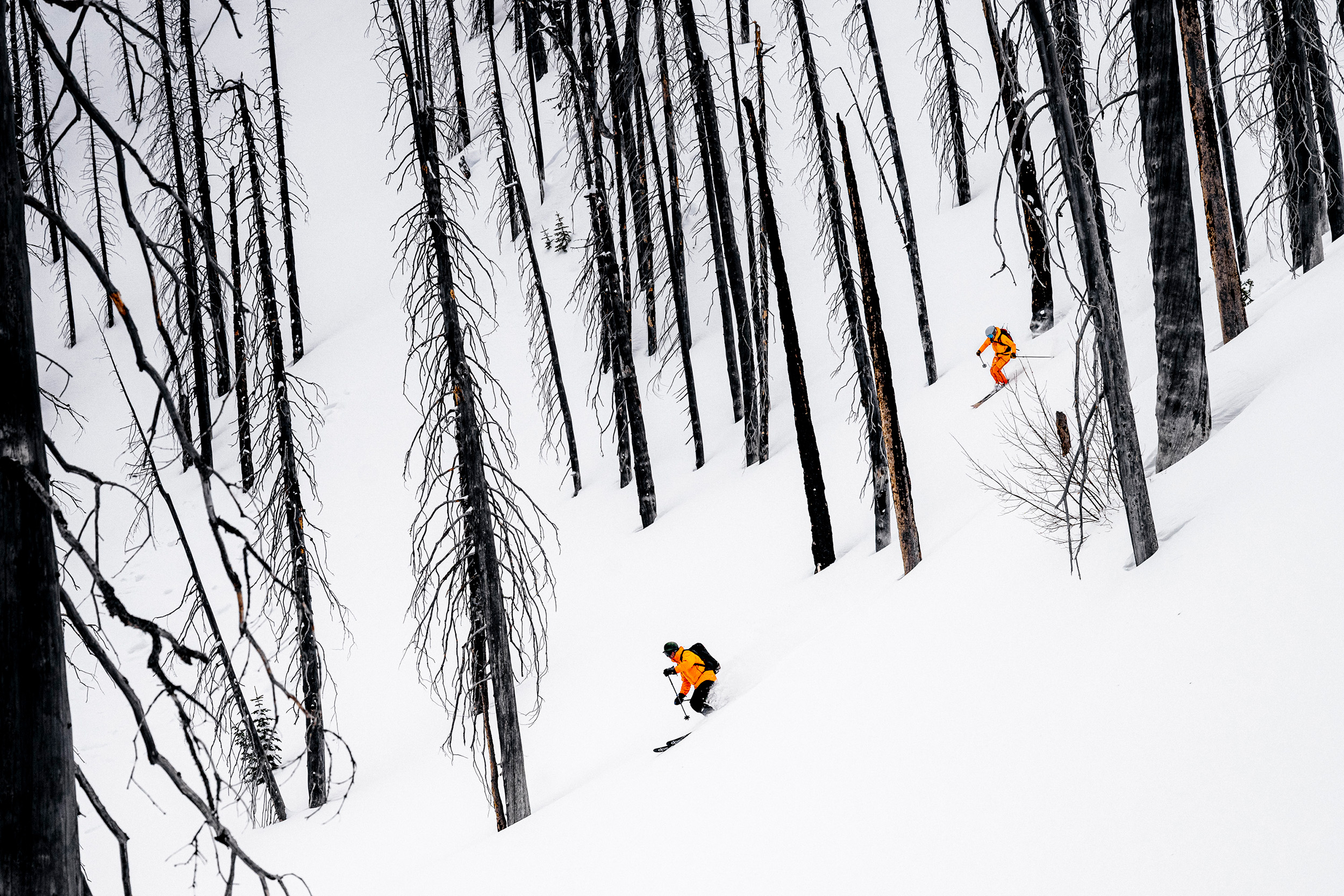 Skiing through trees in Revelsoke, BC