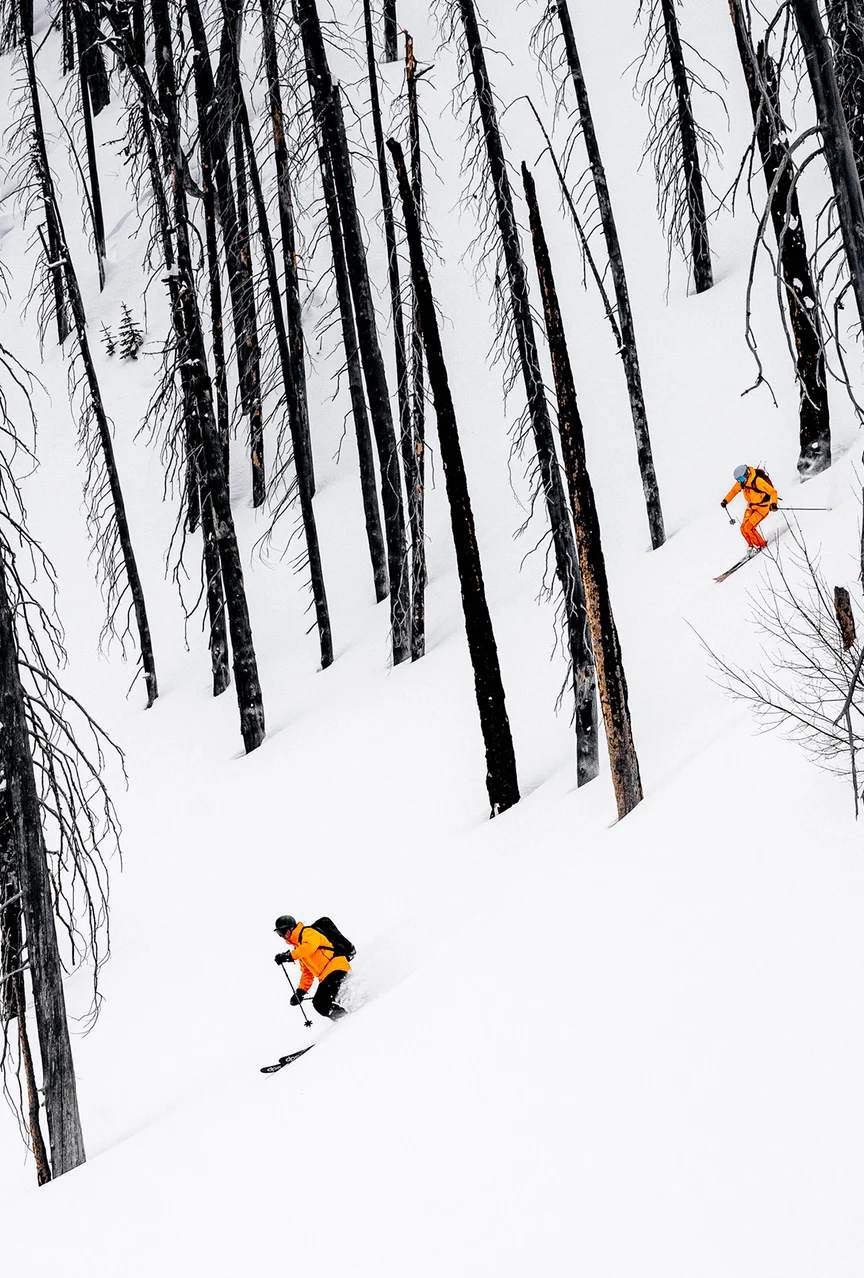 Skiing through trees in Revelsoke, BC