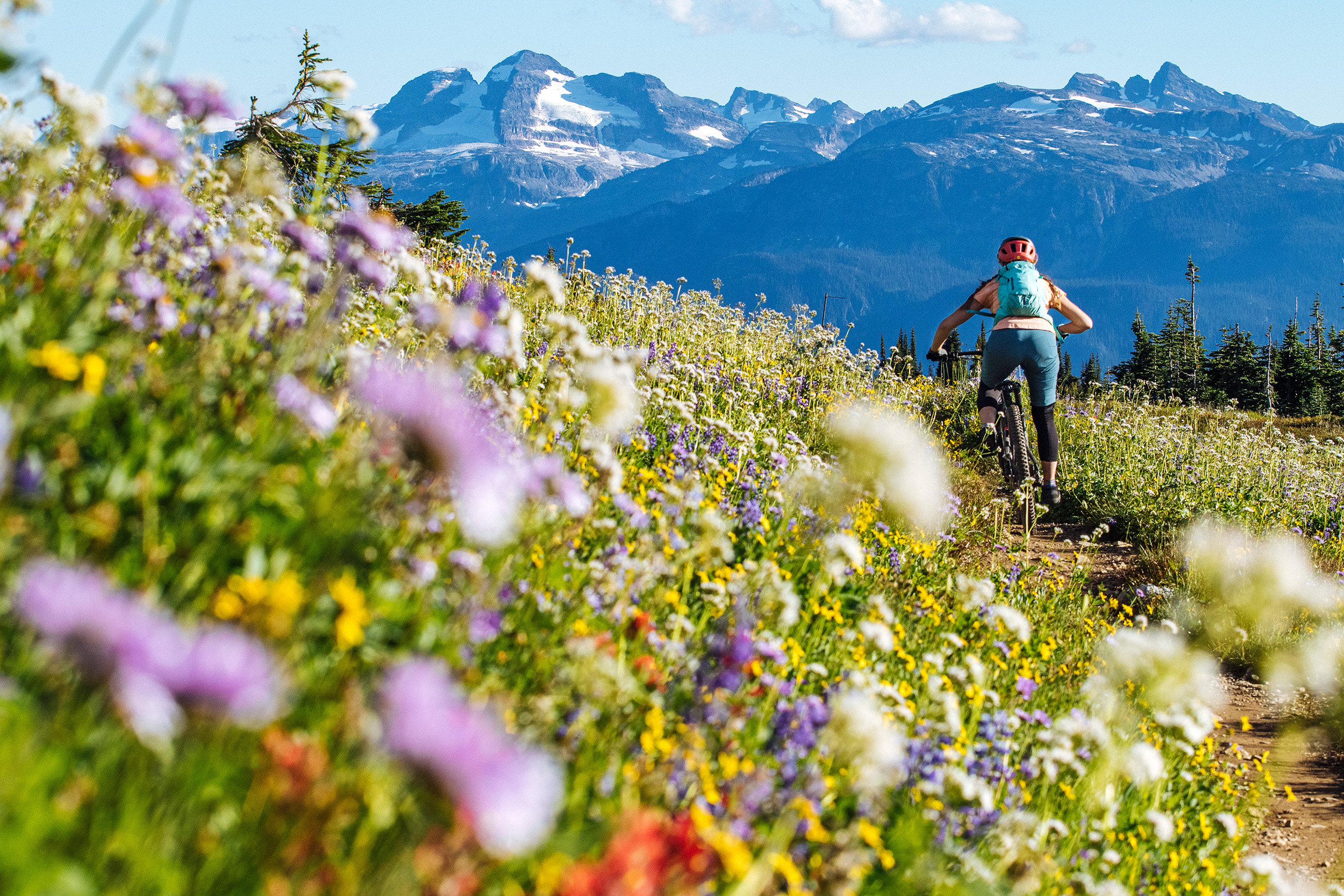 Mountain Biking in Revelstoke, BC.
