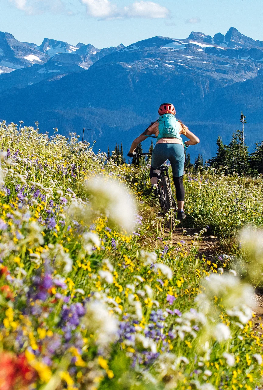 Mountain Biking in Revelstoke, BC.
