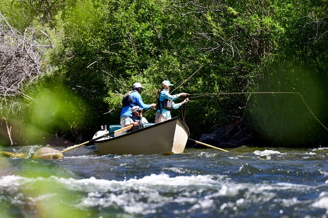 Fly fishing from a boat on the Gunnison River.